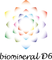 logo biomineral_BIELA